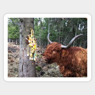 Scottish Highland Cattle Cow and Easter eggs 2350 Sticker